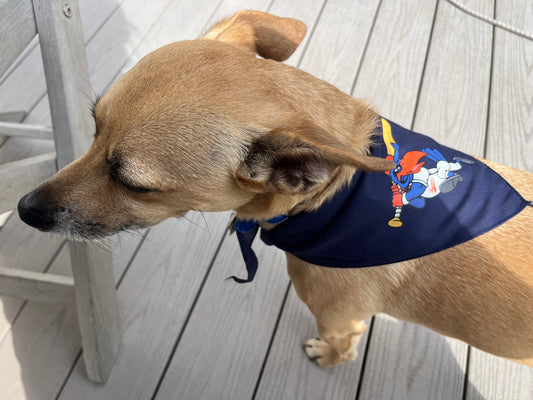 Dog Bandana