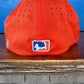 2026 TEAM Player Hats