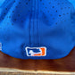 2026 TEAM Player Hats