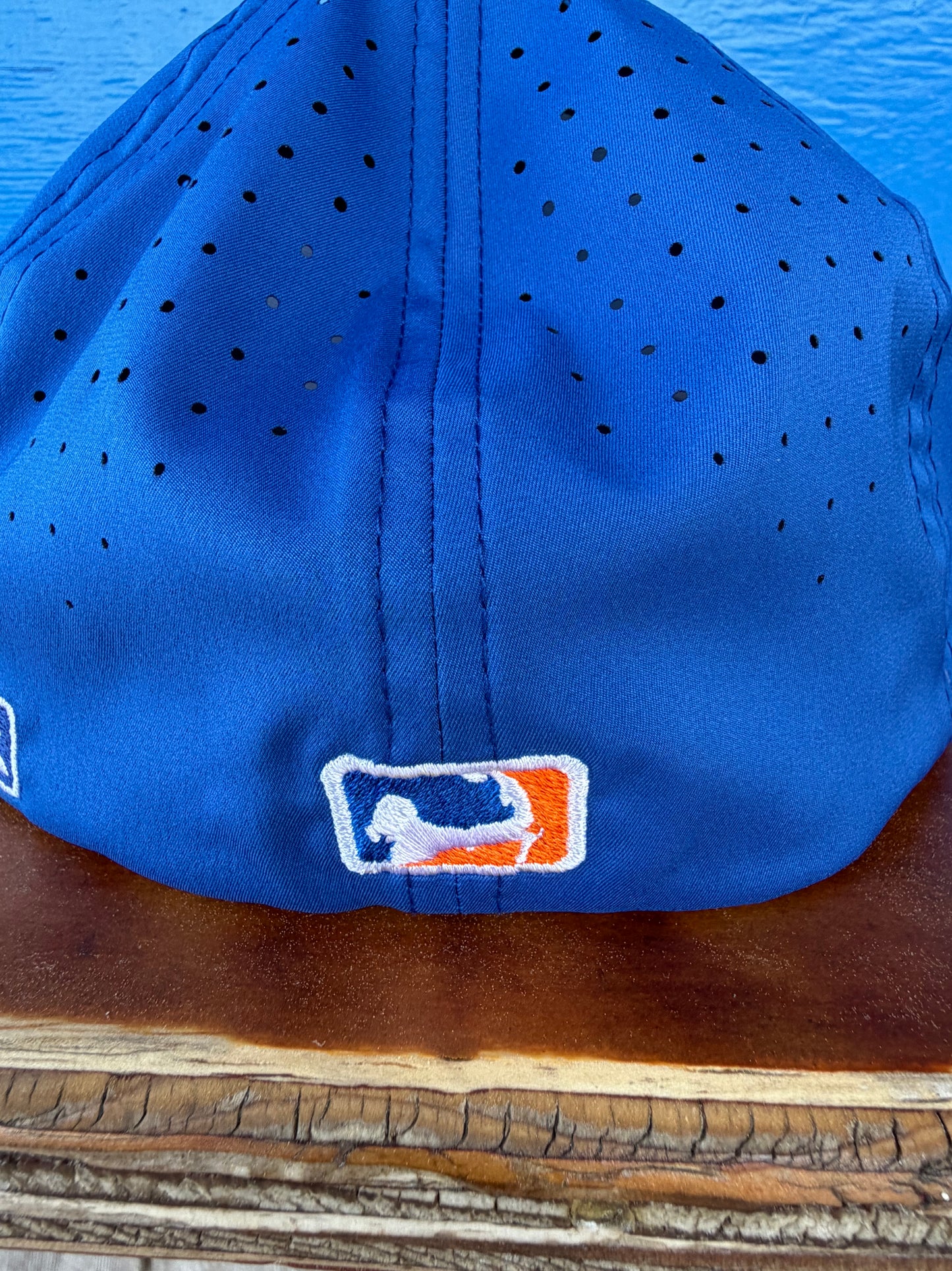 2026 TEAM Player Hats