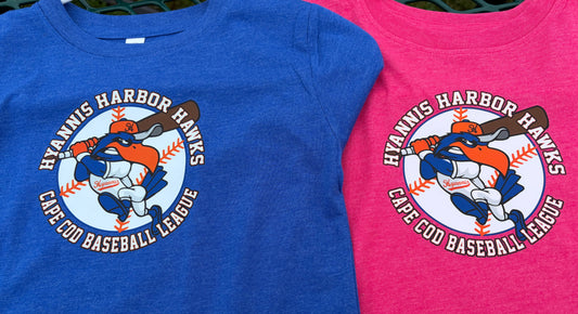 Toddler Tee / Royal and Pink